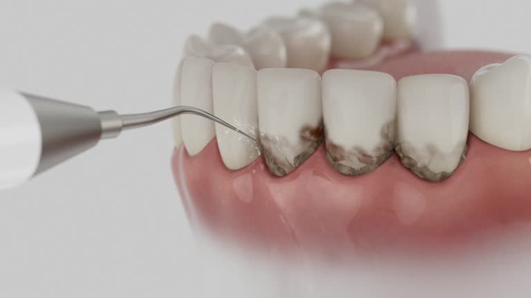 Reliable Dental contractor in Seven Corners, VA by Dentist Open Now